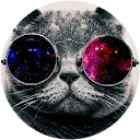 ChIJ5zL3i17h9DkRNK VL52 rk 7be849bf4135c891c1a4d2c2221eb79f